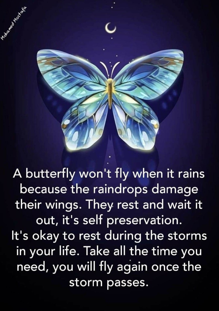 363   4월 24일 수.jpg