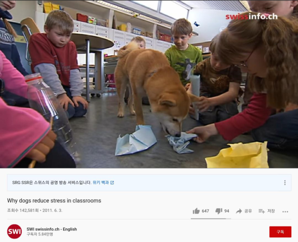 4 교실에 나타난 개 1.jpg