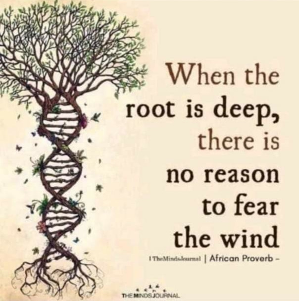 78   7월 9일 일.jpg