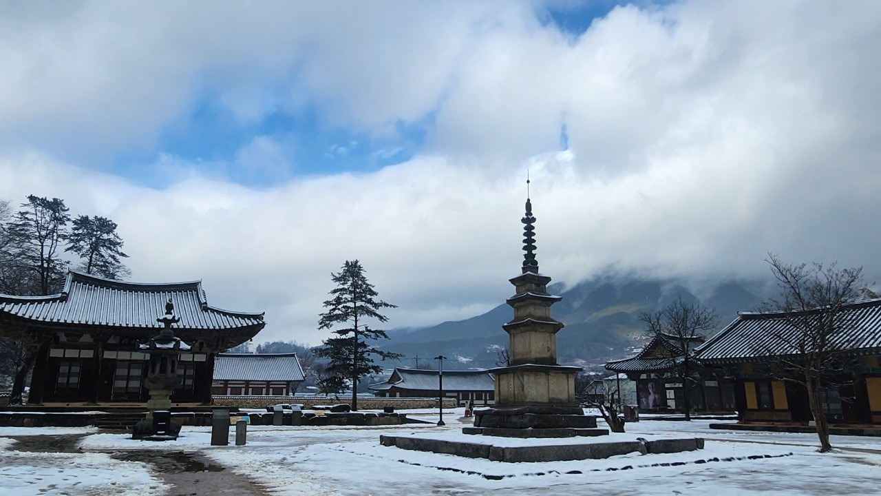 시인 우남정 1.jpg