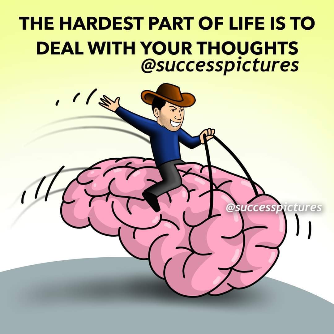 291   2월 12일 월.jpg