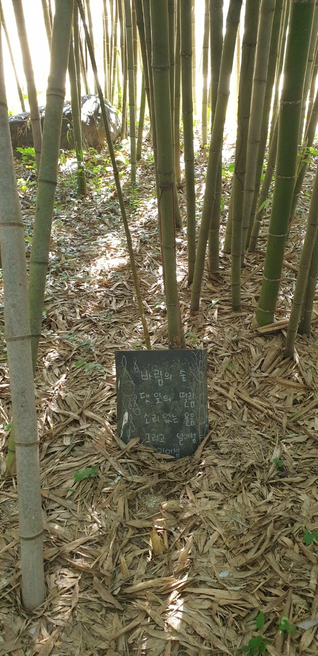 바람 소리 일어남 일어남.jpg