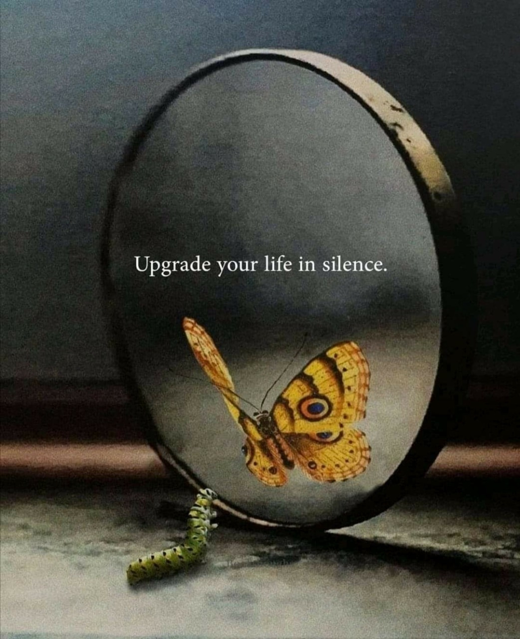 2022 IMI 파트너스(주)_사진_20241005_92.jpg