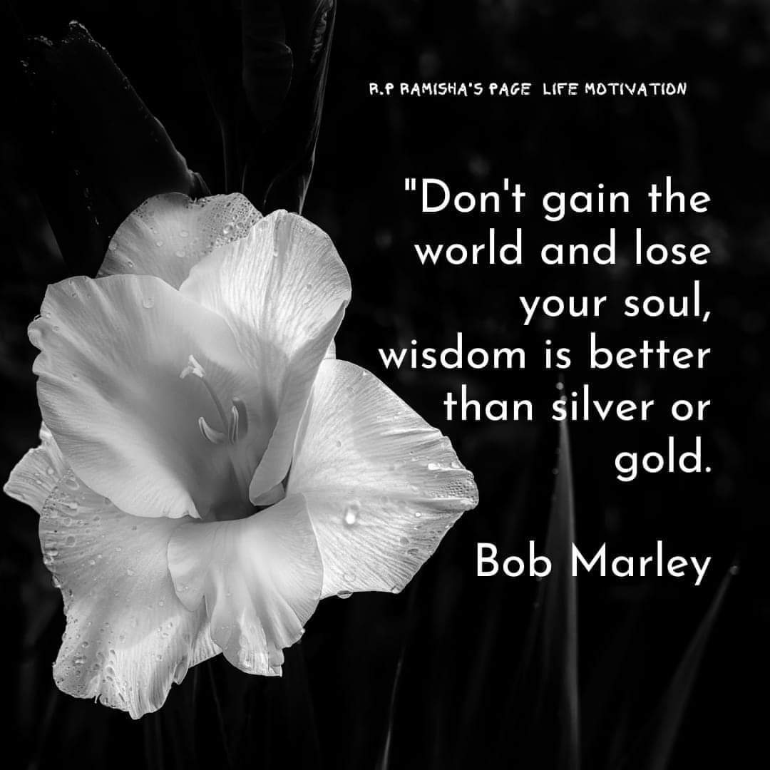 339 3월 31일 일.jpg