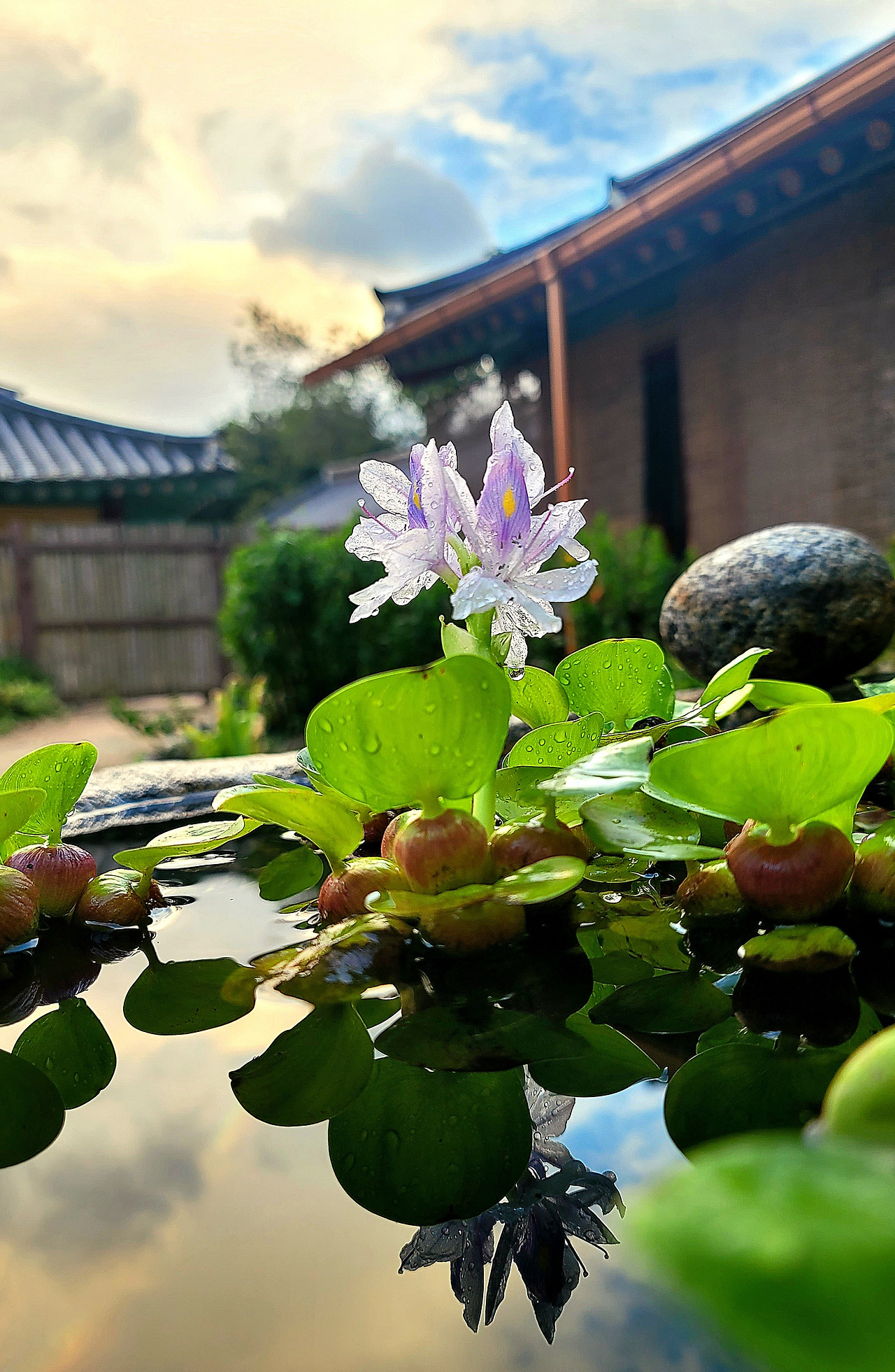 0923  5 KakaoTalk_20250918_124238667_10.jpg