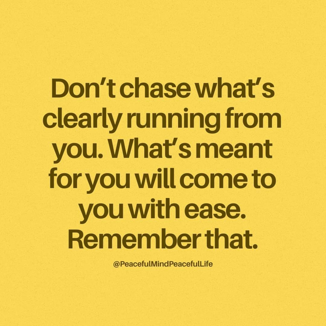 331   3월 24일 일.jpg