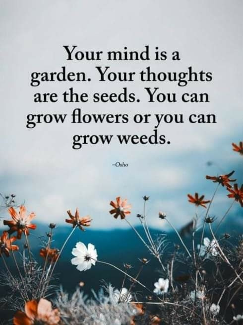 93     7월 24 월.jpg