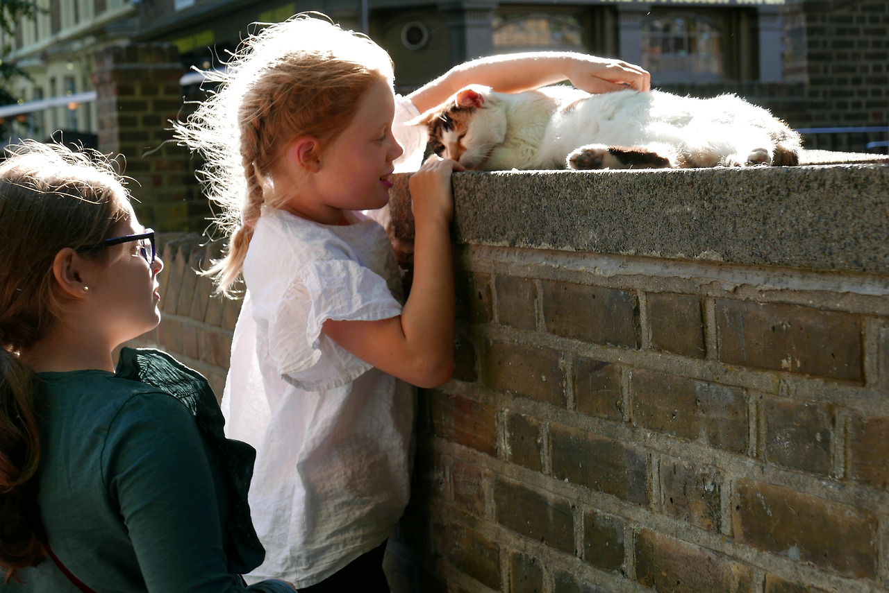 B076 2018 London L1360643_f.jpg