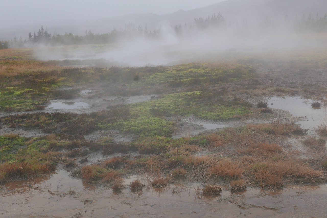 D200 2018 Iceland L1410060_f.jpg