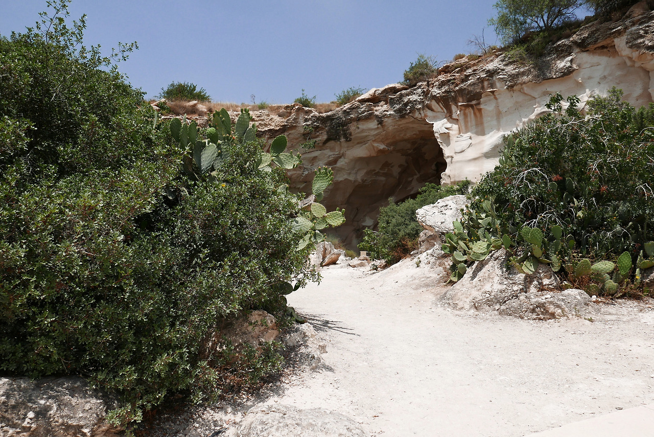 E223 2018 Caves of Maresha and Beit Guvrin in the Judean Lowlands as a Microcosm of the Land of the Caves L1320399_f.jpg