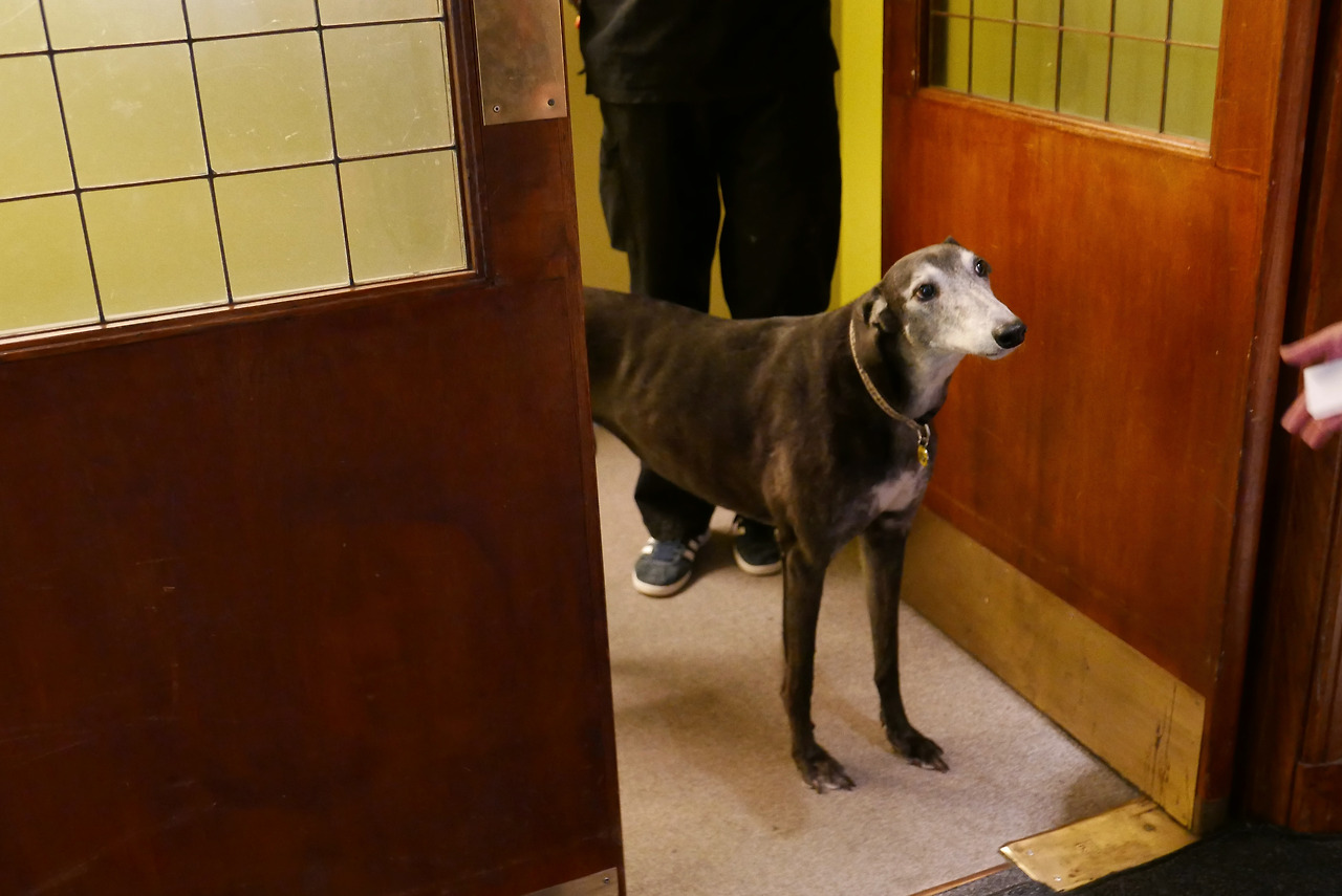 B099 2018 London L1370418_f.jpg