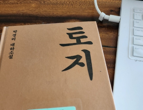 카지노 게임