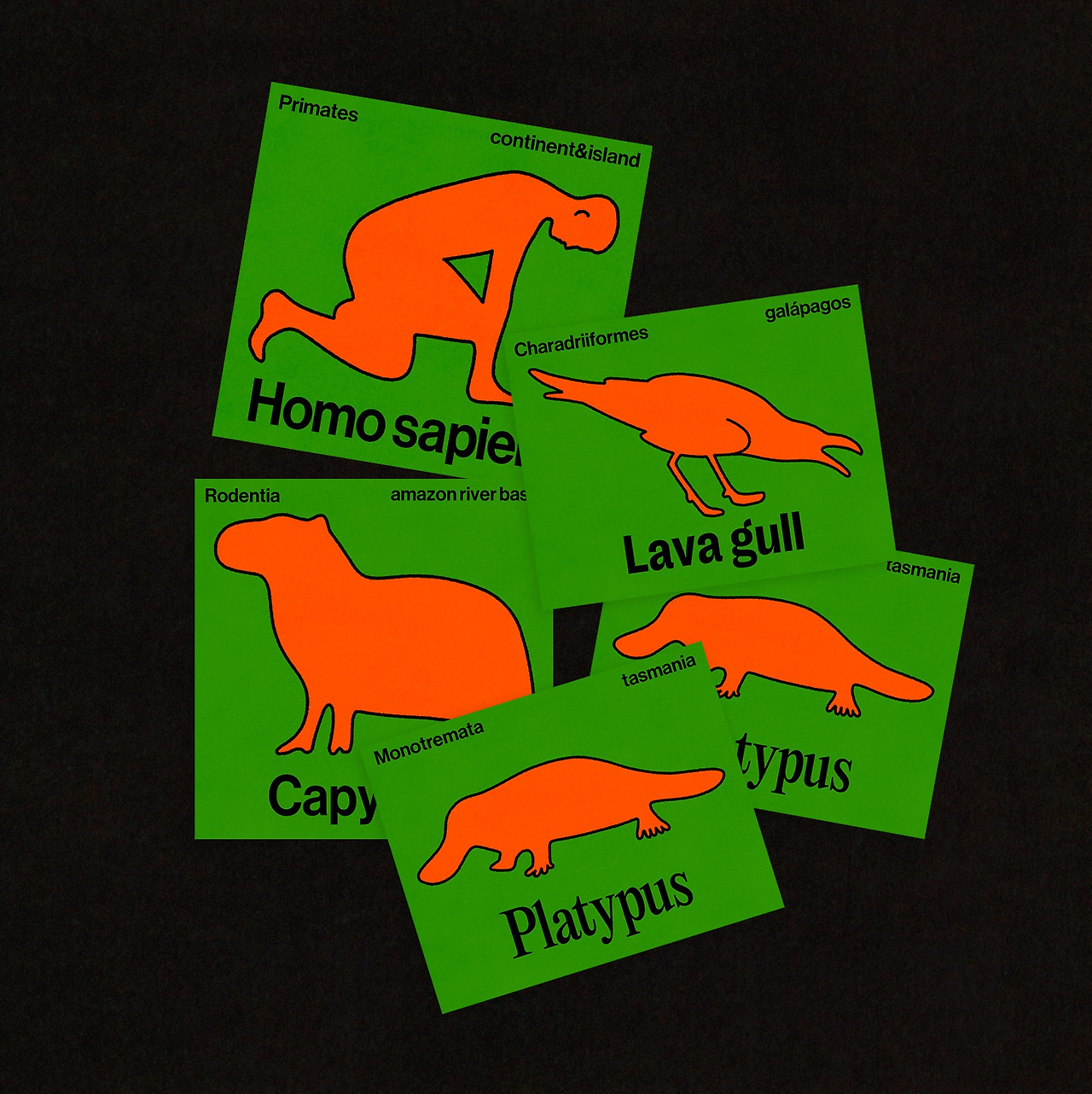 지구의 네 투숙객들.jpg