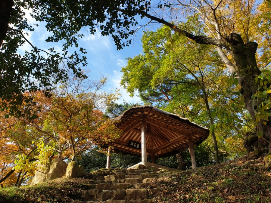온라인 카지노 게임