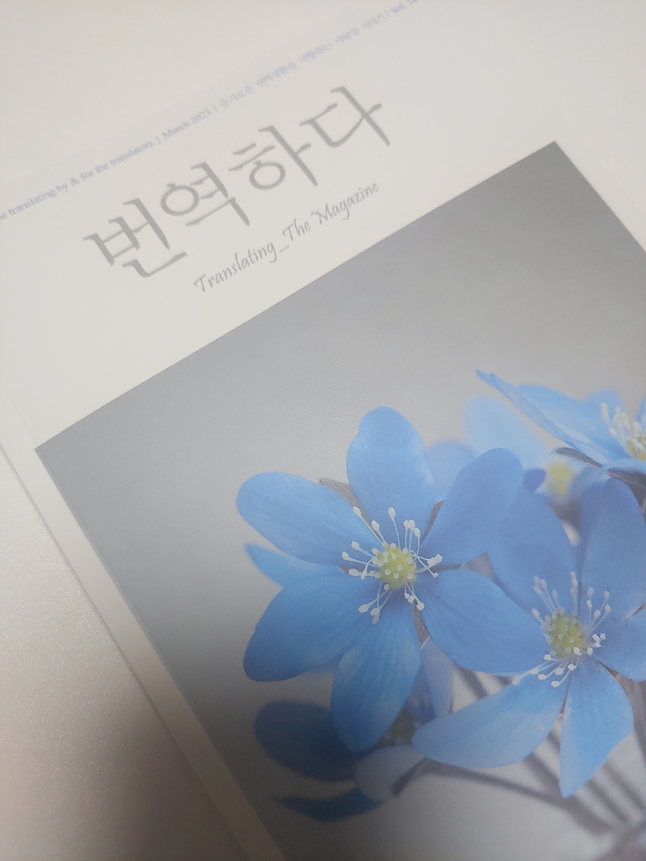 카지노 쿠폰