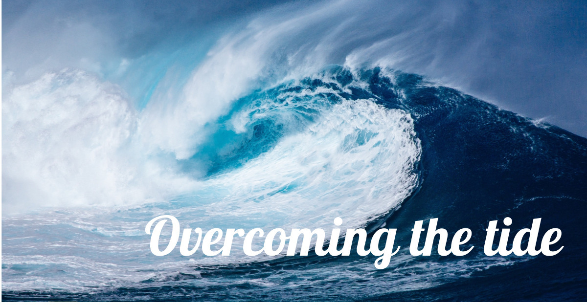 제목을-입력해주세요_-001 (1).jpg