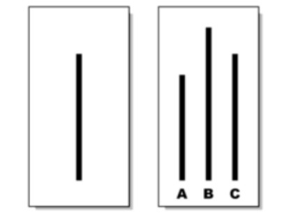 애쉬의 선분실험.jpg