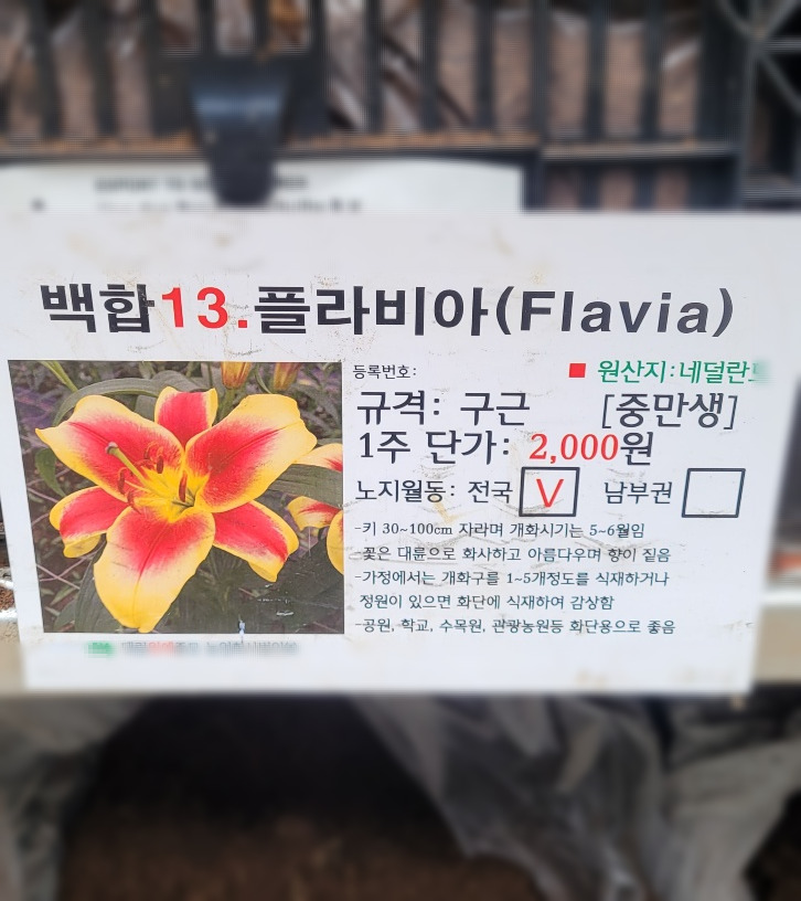 KakaoTalk_20250704_121256623_14 (1).jpg