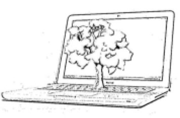 Pasted Graphic 2.jpg