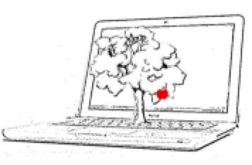 Pasted Graphic 3.jpg