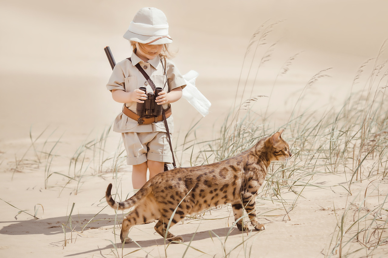 00 shutterstock_408410761.jpg