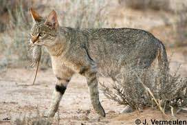 다운로드 (1).jpg