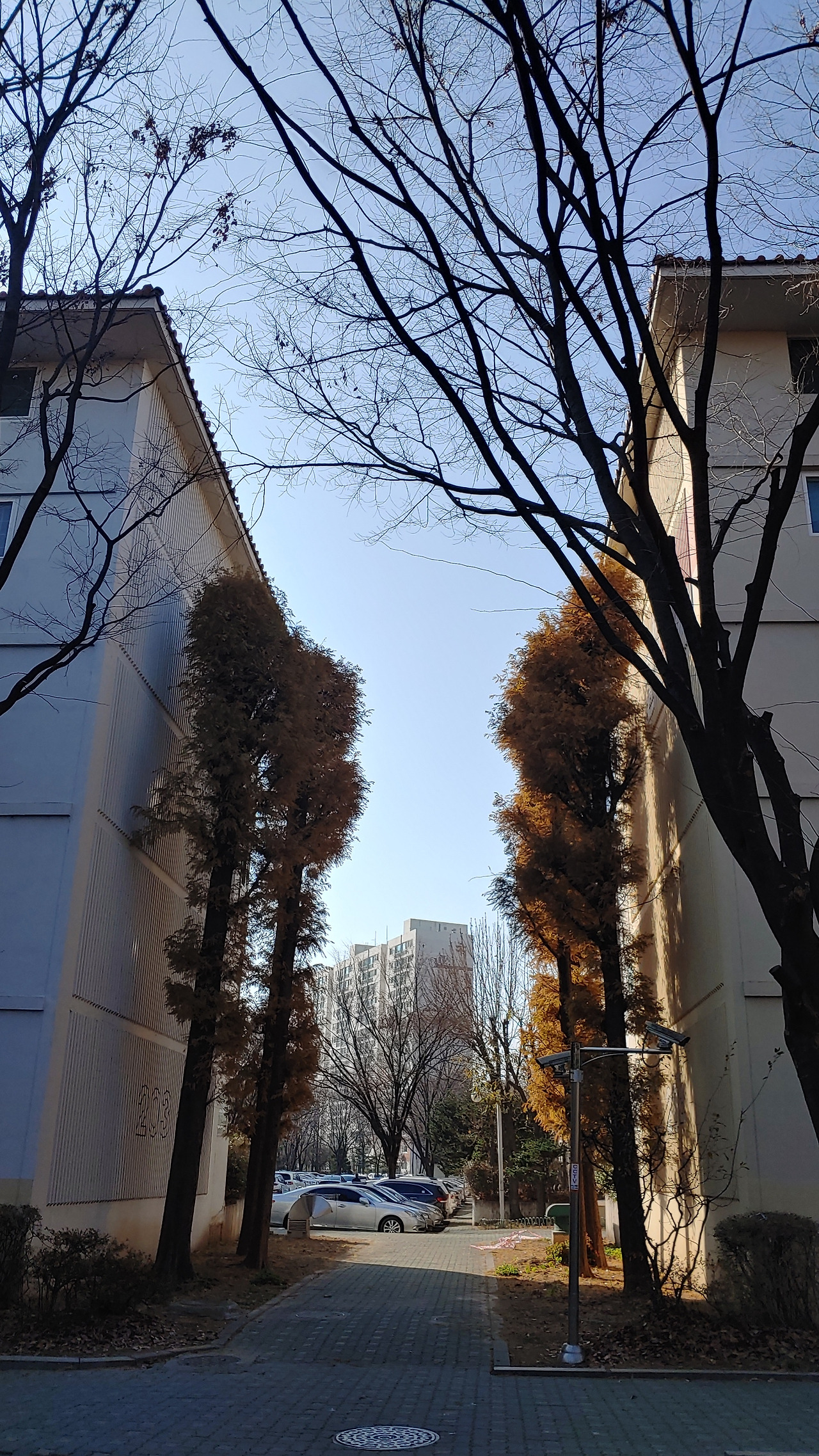 KakaoTalk_20201223_155015521_01.jpg