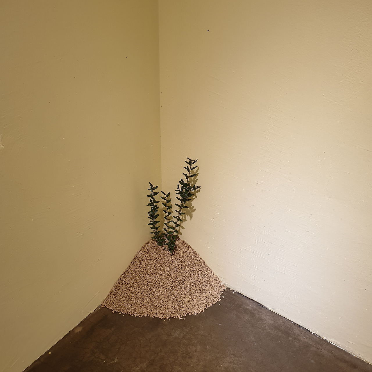 KakaoTalk_20250923_230858054 (1).jpg