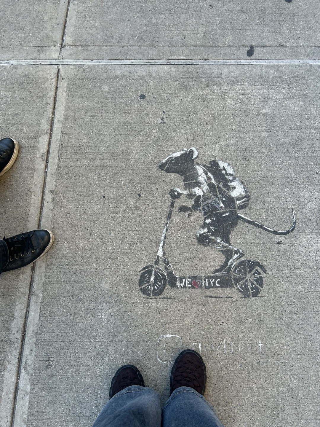 뉴욕 시골쥐.jpg