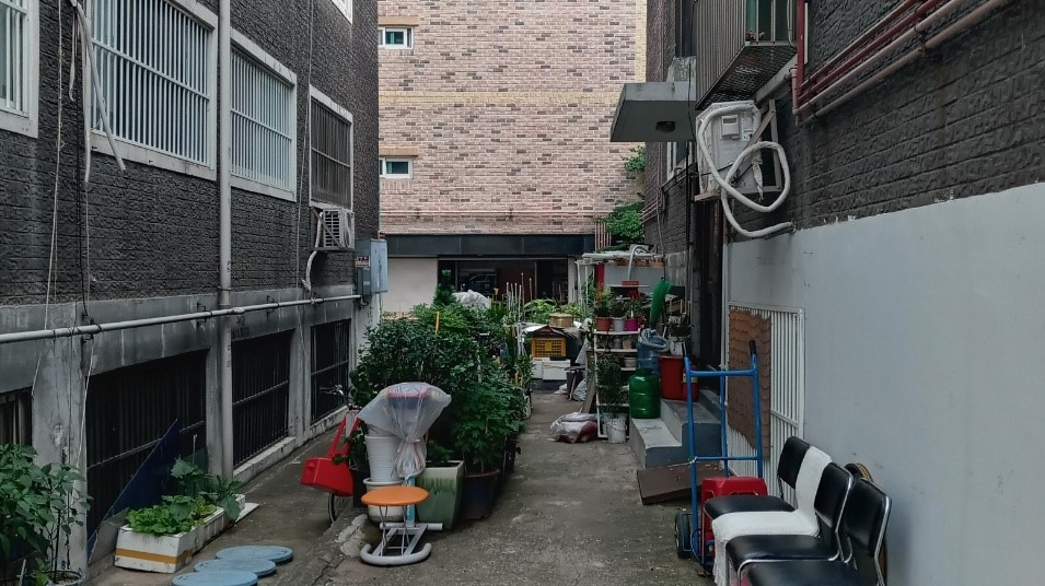 마당 깊은 집 .jpg