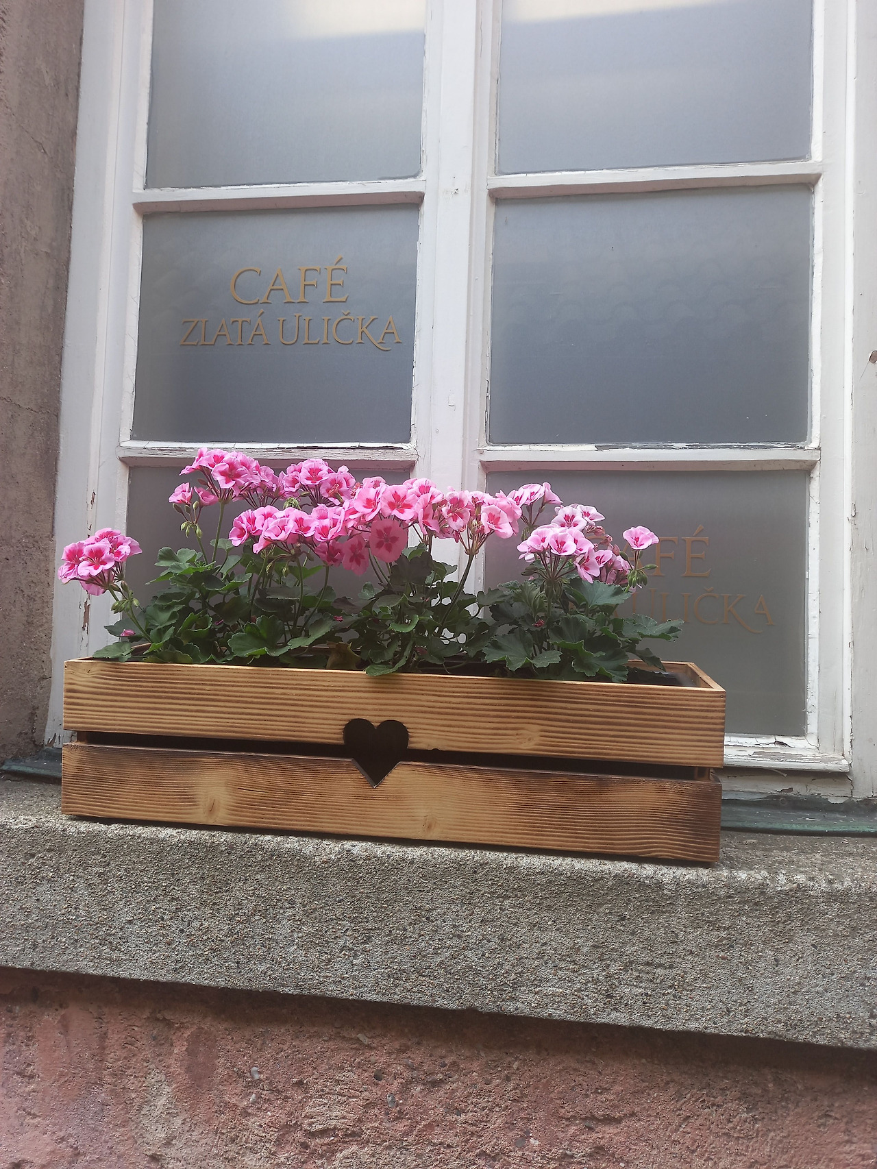 20240722_094717 (1).jpg