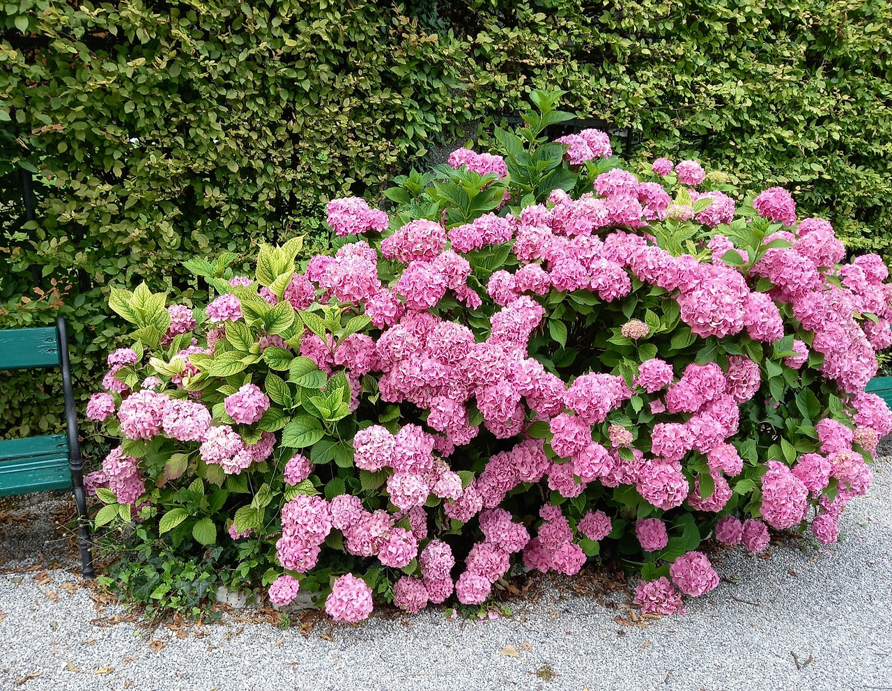 20240724_134804 (1).jpg