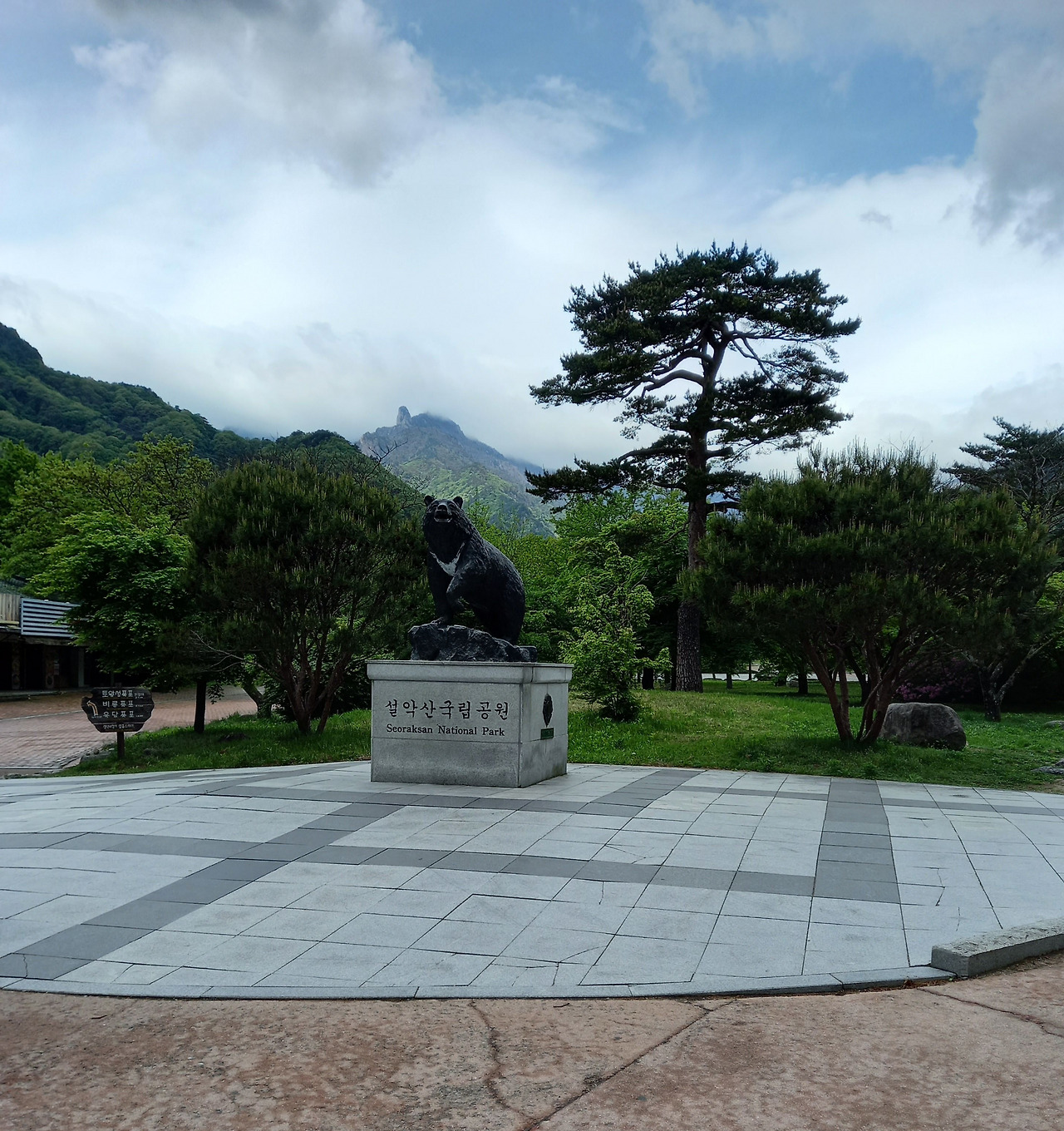 20250503_112631 (1).jpg