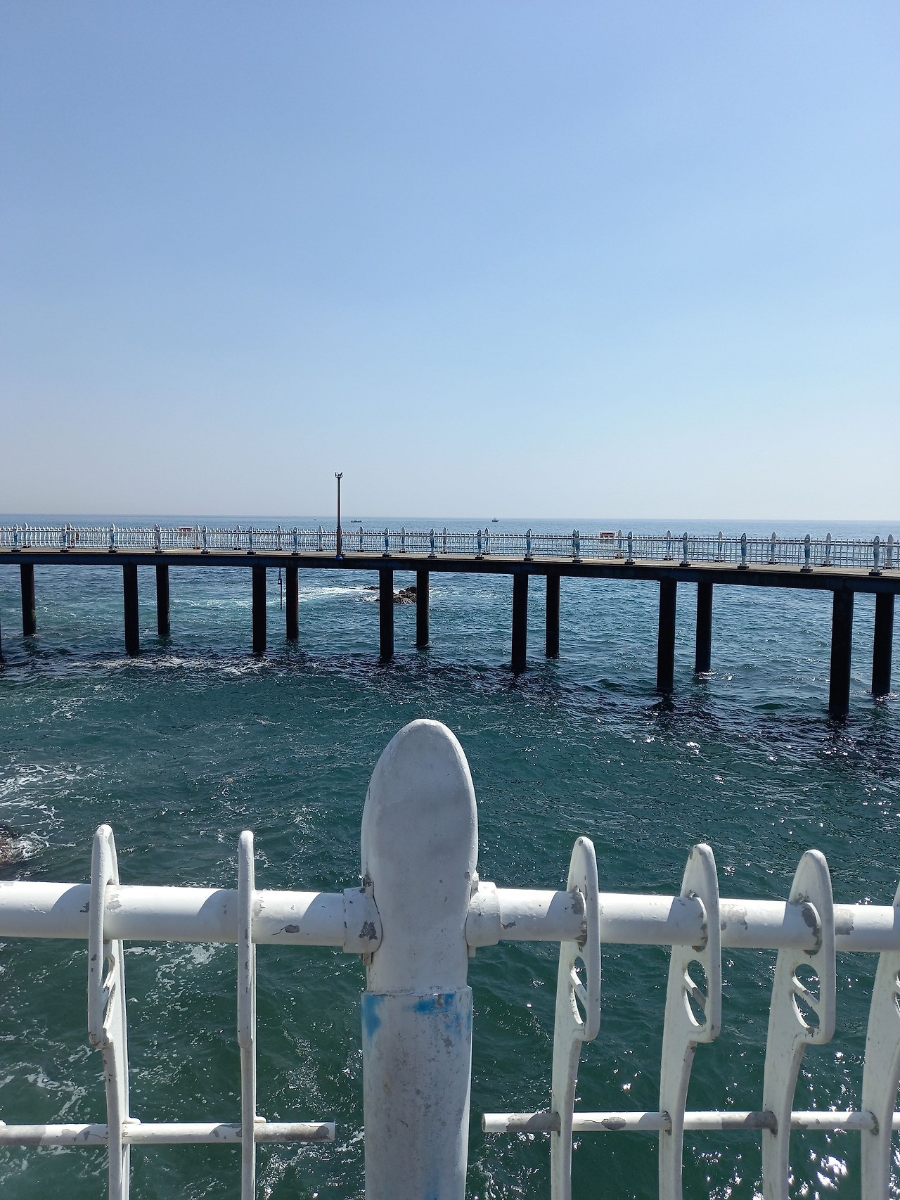 20250430_101846 (1).jpg