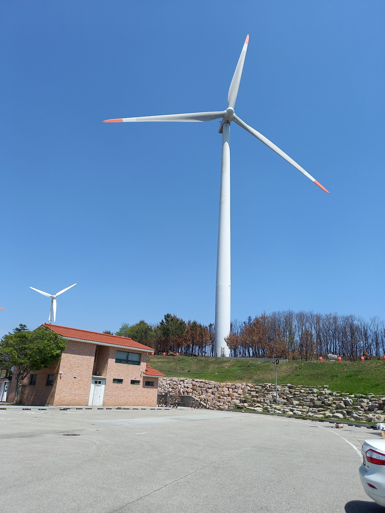 20250430_112521 (2).jpg