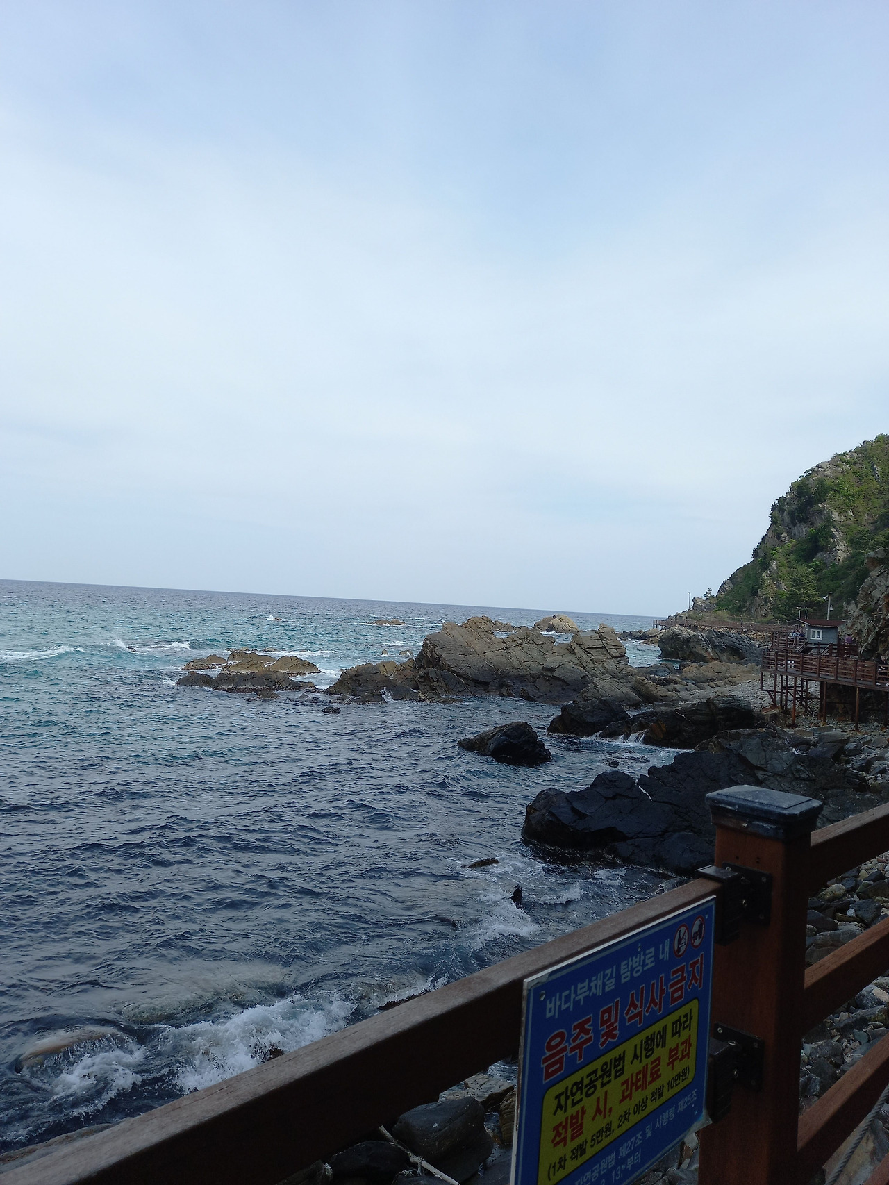 20250502_153344 (1).jpg