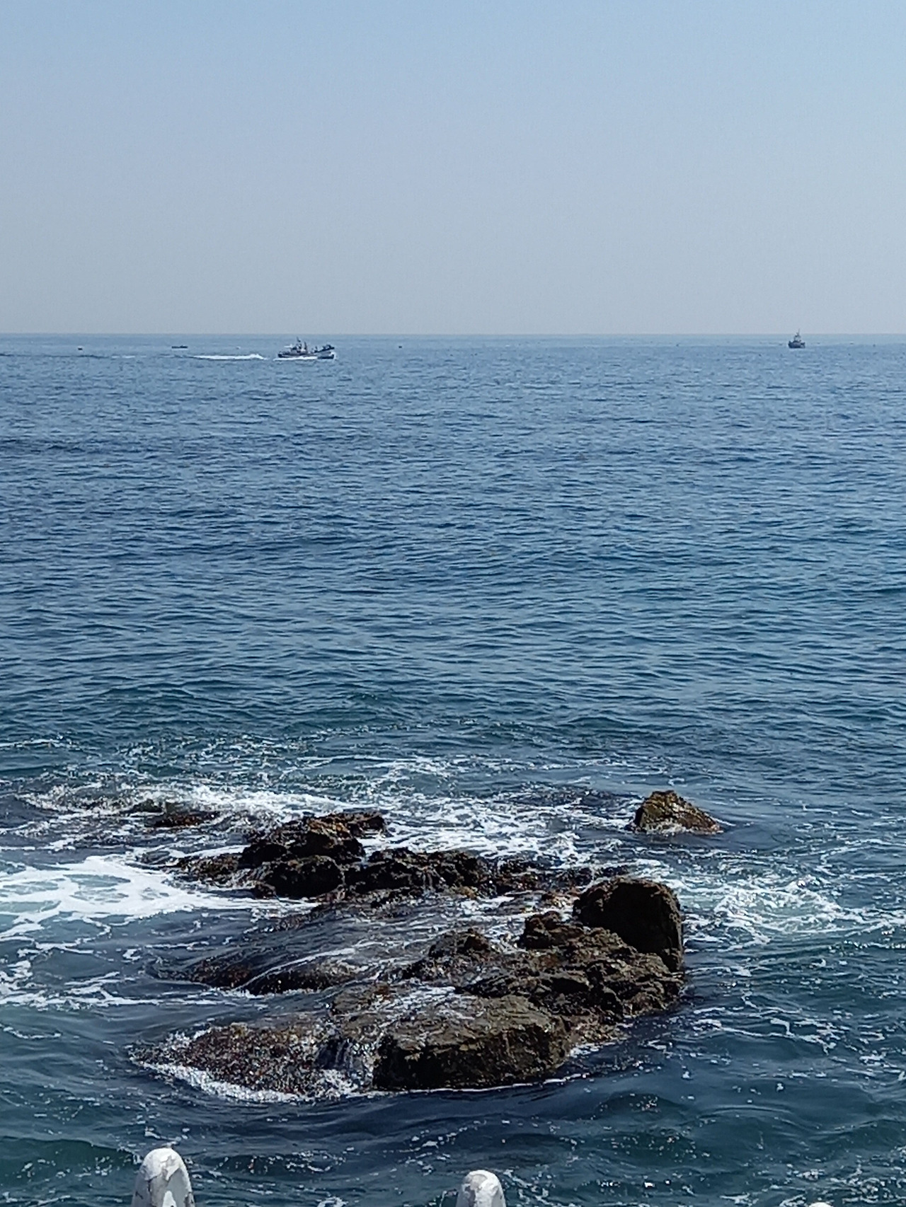 20250430_102036 (2).jpg