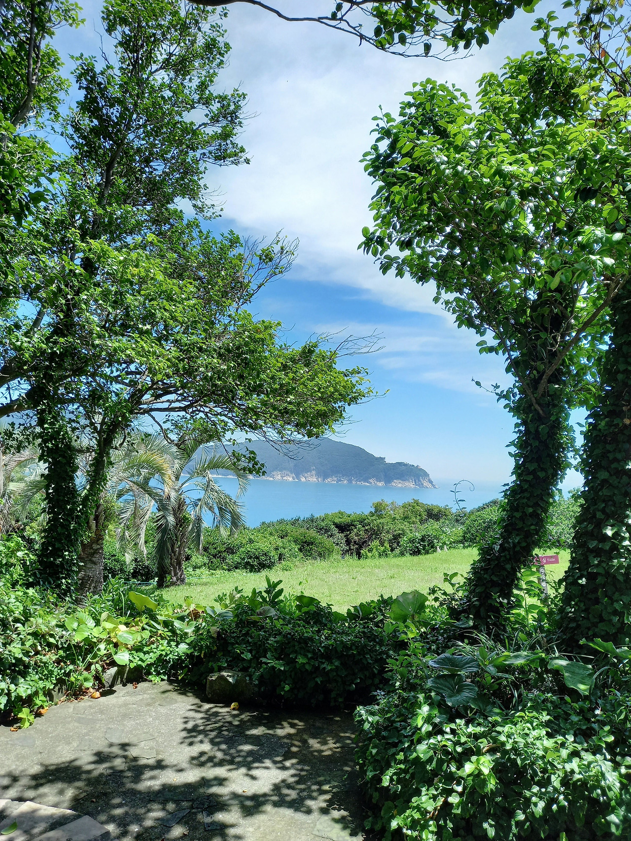 20240628_113151 (1).jpg