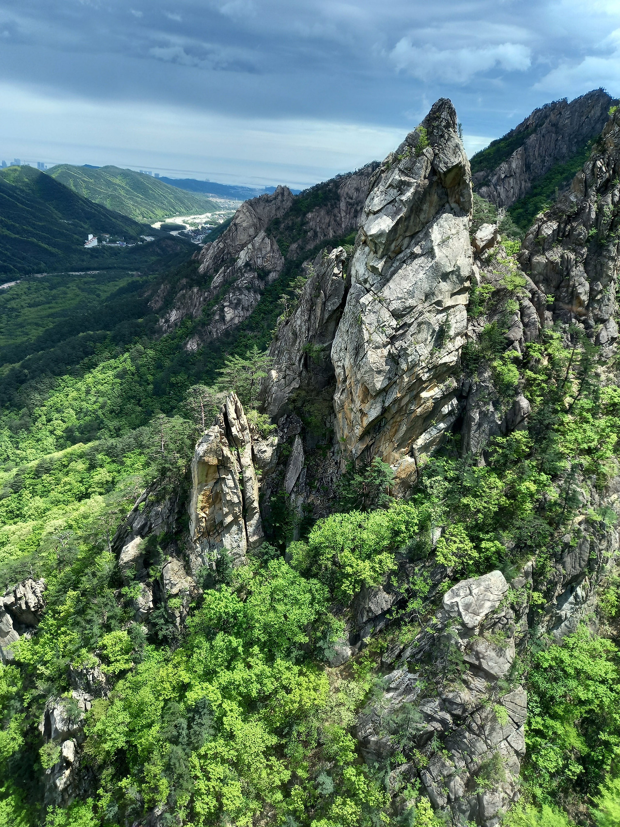 20250503_124649 (1).jpg