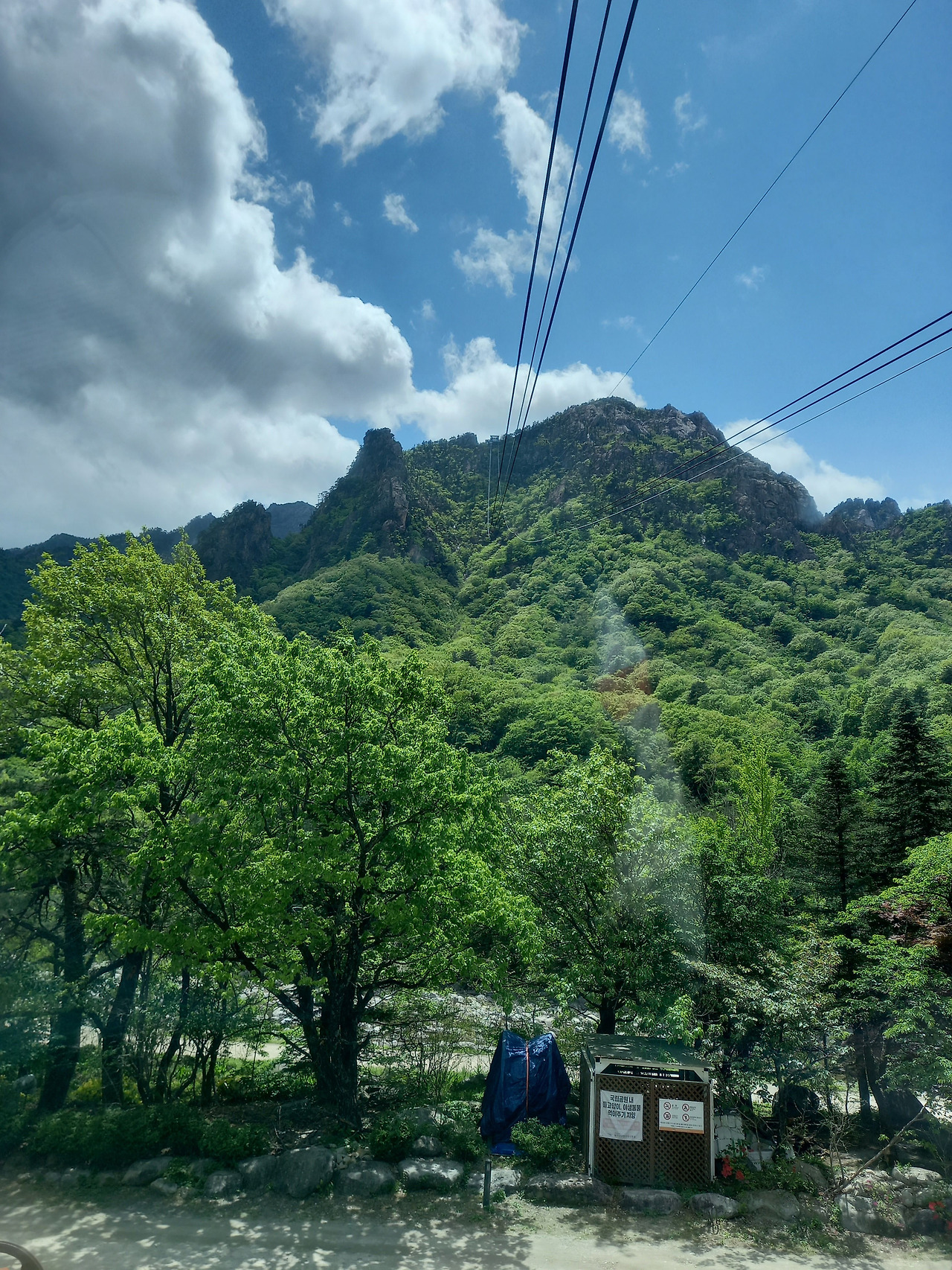 20250503_124440 (1).jpg