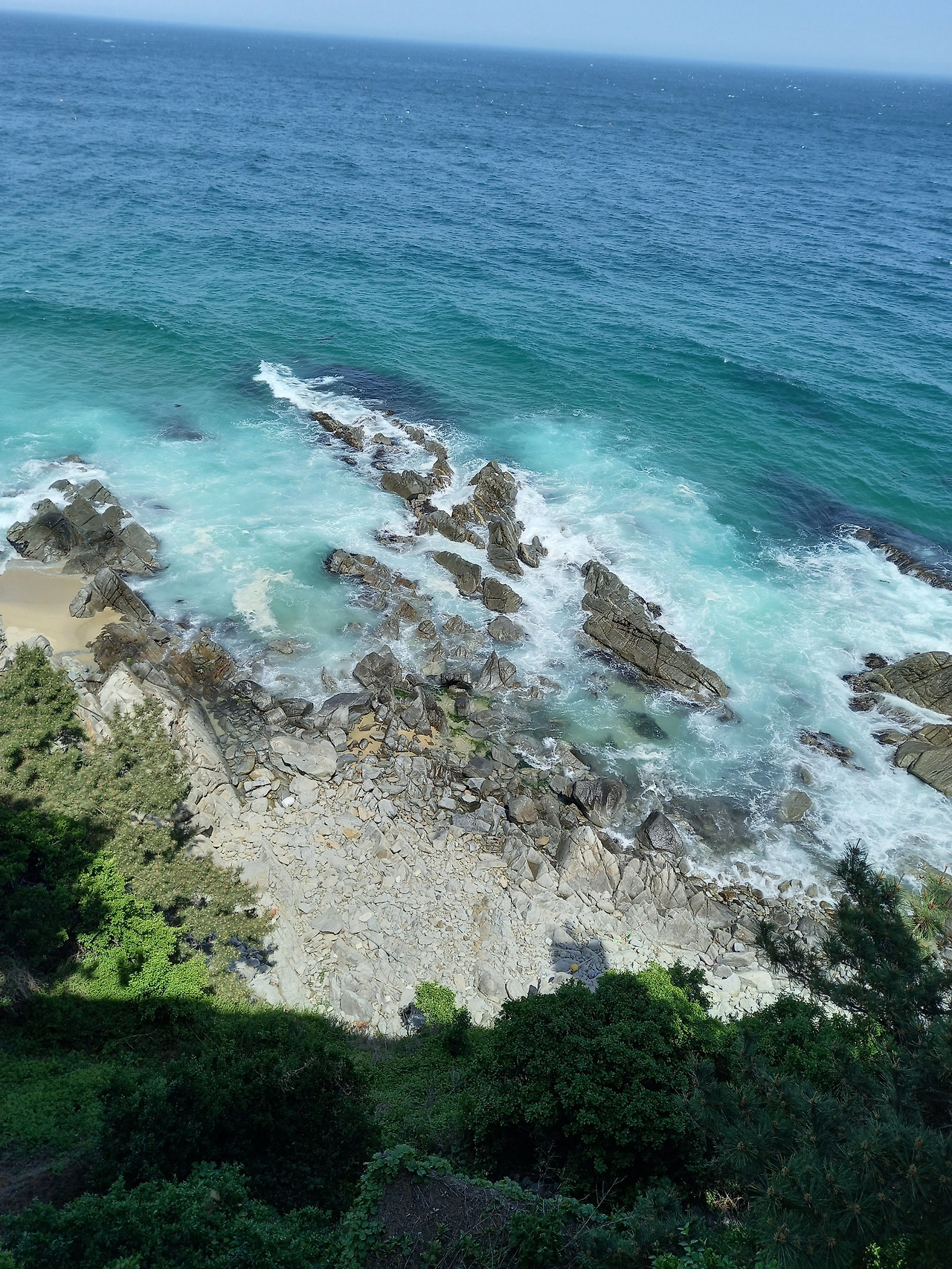 20250430_134017 (1).jpg