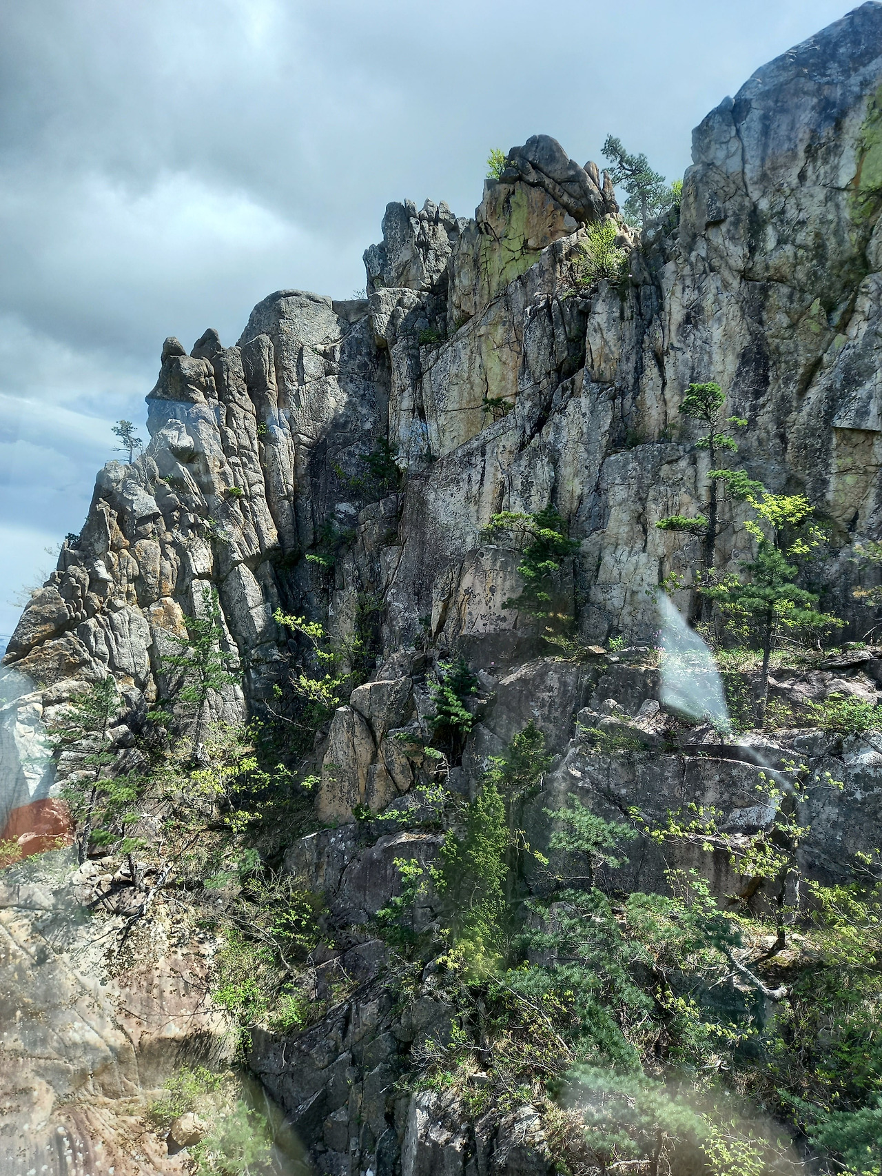 20250503_124730 (1).jpg