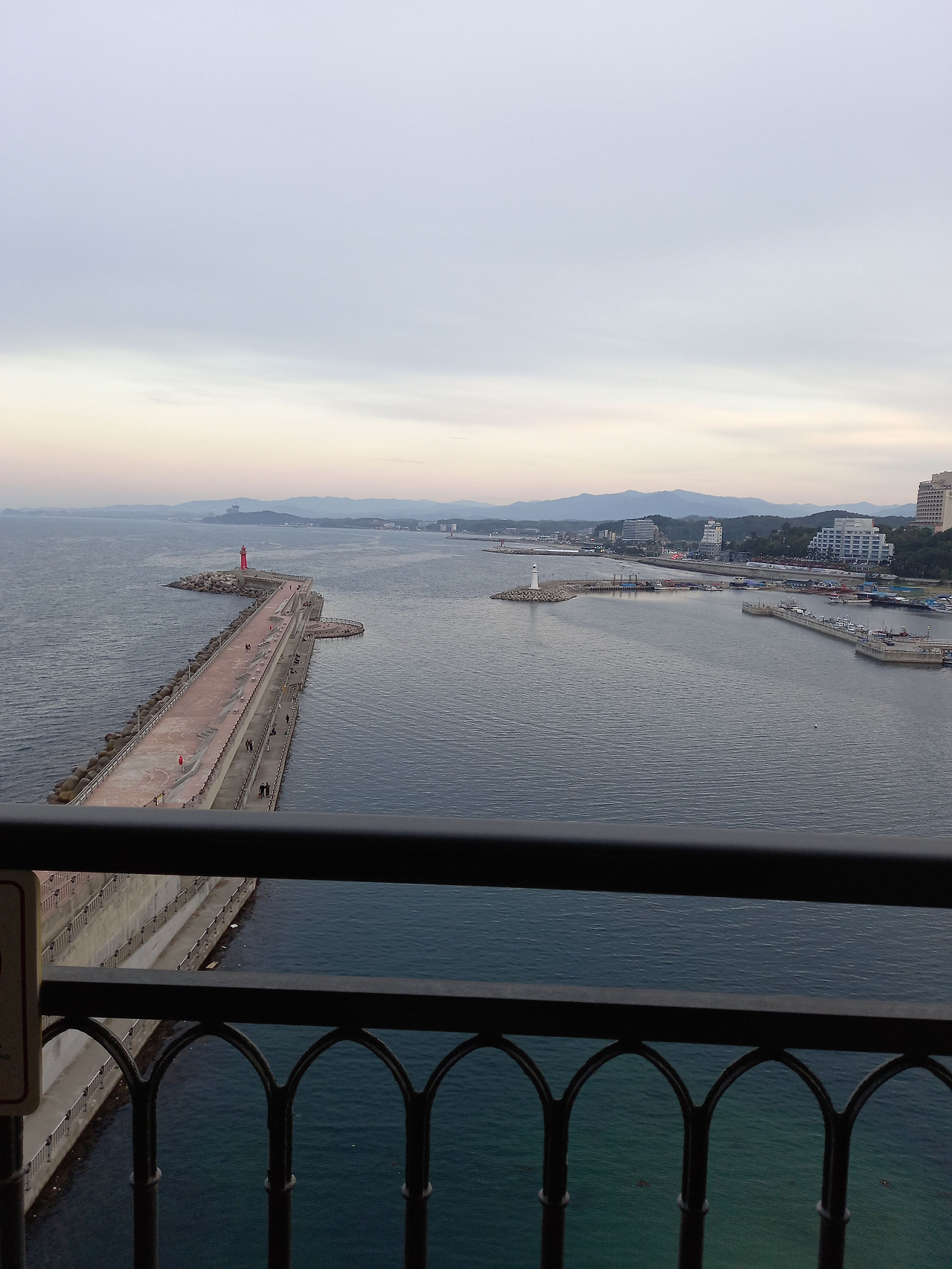 20250502_185438 (1).jpg