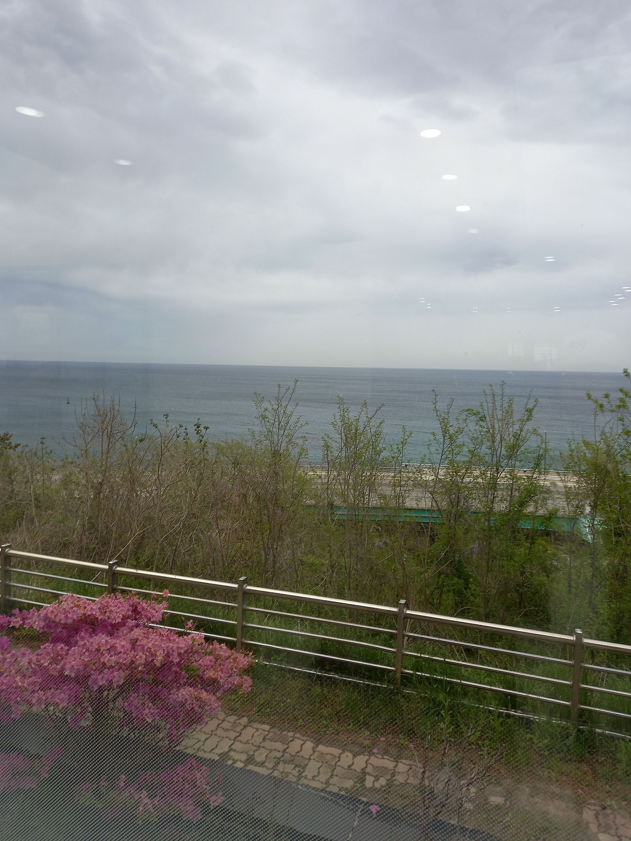 20250501_172448 (1).jpg