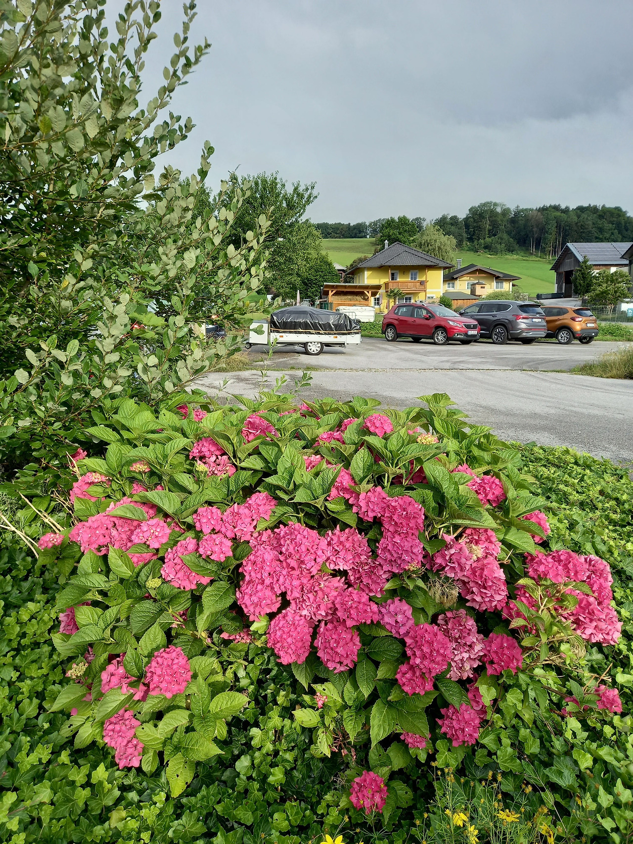 20240724_074522 (2).jpg