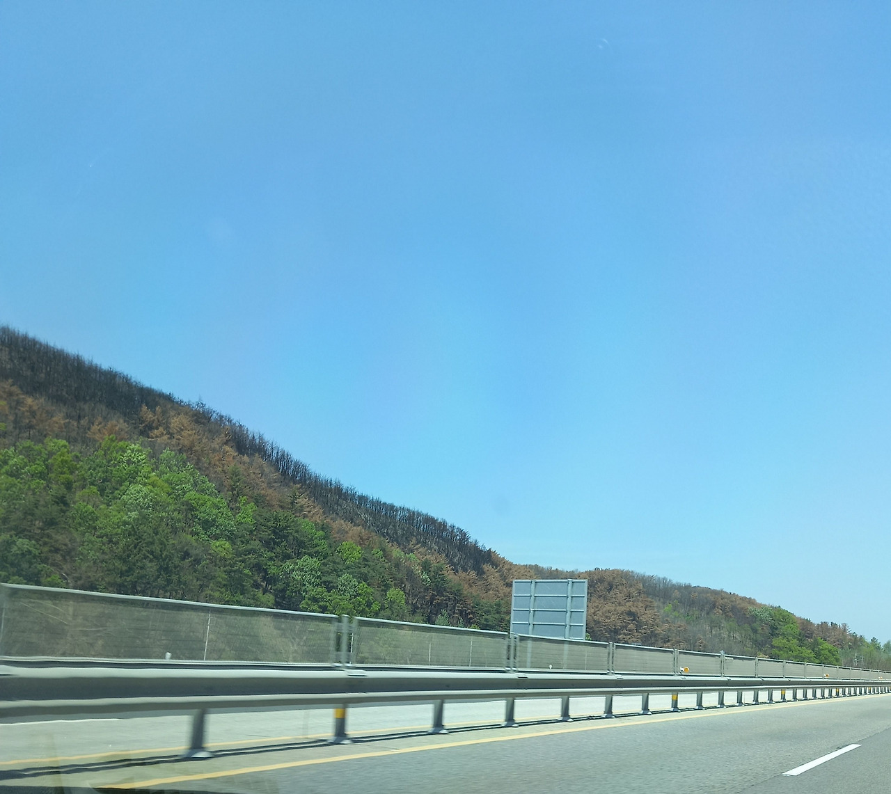 20250430_115308 (1).jpg