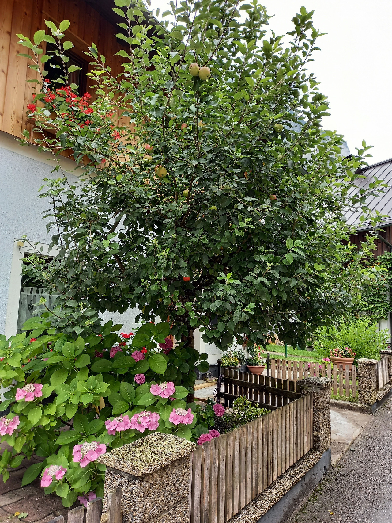 20240724_104532 (3).jpg