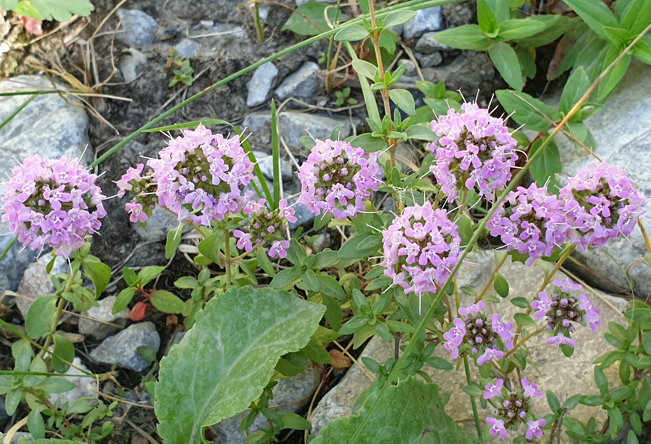 20220716_135514 (2).jpg