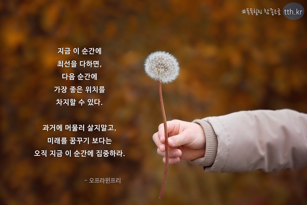 니체의 삶 4.4.jpg