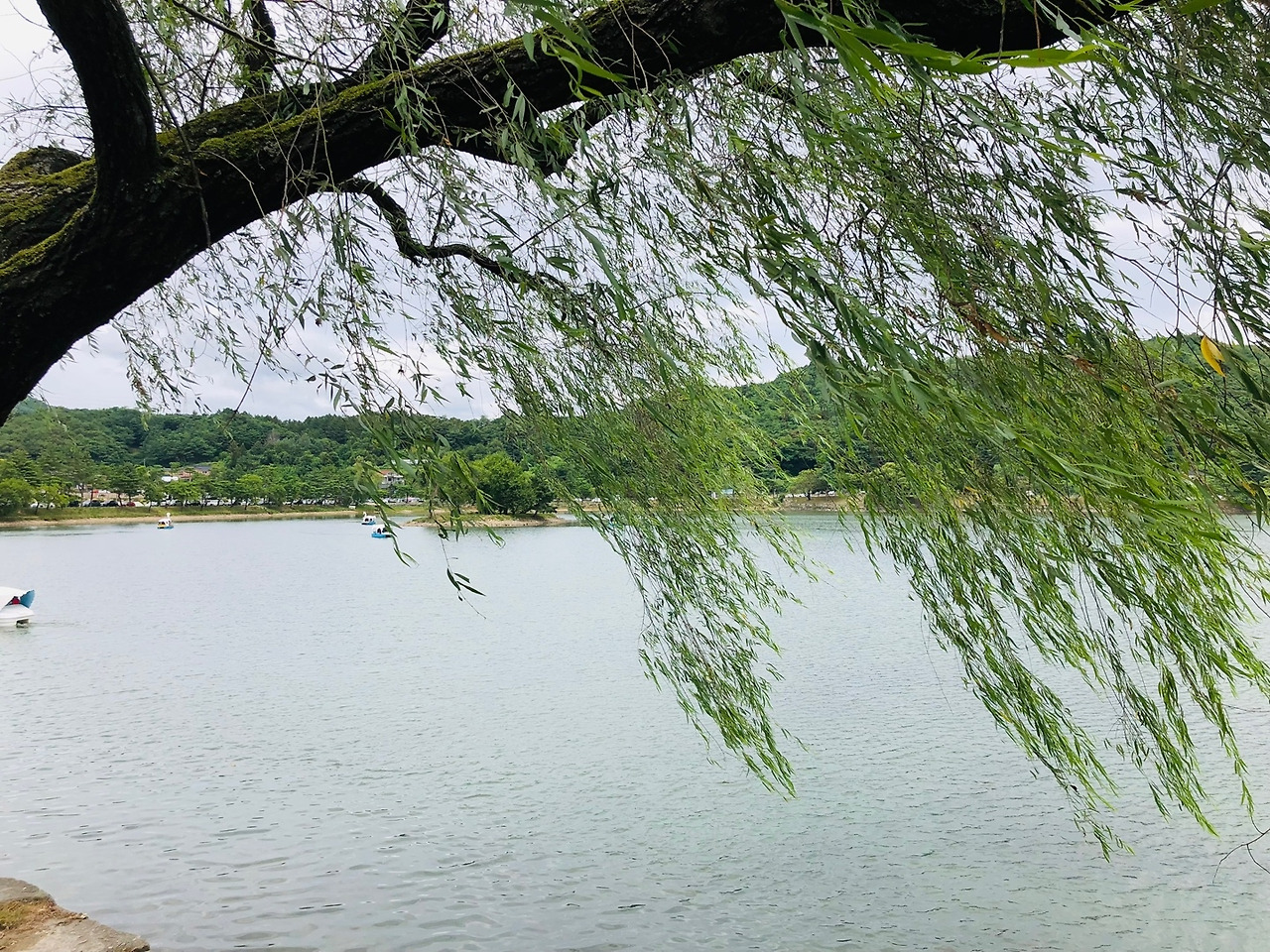 의림지11.jpg